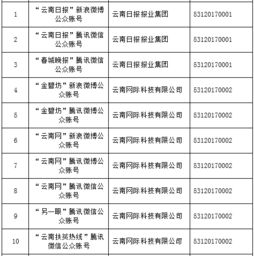 云南信息報旗下六產品獲首批互聯網新聞信息服務許可，賦能區域信息服務新格局